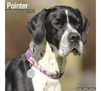 Pointer Calendar 2025 Square Dog Breed Wall Calendar - 16 Month