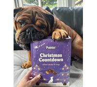 Pointer Pet Products - Christmas Advent Calendar, Tasty Carob and Cheese Flavoured Assorted Bones - Made in Britain, No Added Artificial Flavours, Naturally Oven Baked Dog Treats 1 x 325g