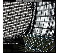 Poison Arrows - Newfound Resolutions [VINYL]