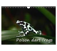 Poison dart frogs / UK-Version / Birthday Calendar (Wall Calendar 2026 DIN A4 landscape), CALVENDO 12 Month Wall Calendar: Poison dart frogs - the jewels of the rain forest