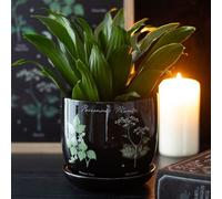 Poisonous Plants Ceramic Pot - Dark Elegant Indoor Decor