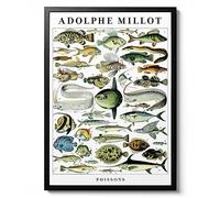 Poissons 1 white - Adolphe Millot, Botanical print, Wildlife Science Wall Art, Animal Nature Gift Idea, Archival Matte, A4 (Print Only) - 29.7x21cm