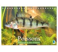 Poissons : d'étangs et des rivières (Calendrier de bureau 2027 DIN A5 vertical), CALVENDO calendrier mensuel: Prises de vues sous-marines grandioses de poissons qui évoluent dans nos eaux