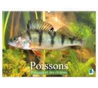 Poissons : d'étangs et des rivières (Calendrier mural 2027 DIN A2 vertical), CALVENDO calendrier mensuel: Prises de vues sous-marines grandioses de poissons qui évoluent dans nos eaux
