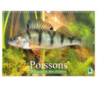Poissons : d'étangs et des rivières (Calendrier mural 2027 DIN A3 vertical), CALVENDO calendrier mensuel: Prises de vues sous-marines grandioses de poissons qui évoluent dans nos eaux