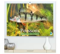 Poissons : d'étangs et des rivières (Calendrier mural haut de gamme 2027 DIN A2 vertical), CALVENDO calendrier mensuel: Prises de vues sous-marines grandioses de poissons qui évoluent dans nos eaux