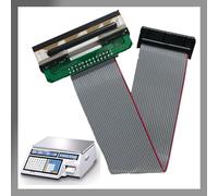 Pokanic Thermal Head Printer Replacement Part Compatible with CAS CL-5000, CL-5500, CL-7200 Bench and Pole Series Scale, Weight Printing Clear Labels