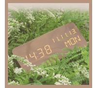Pokanic Wood Digital Alarm Clock with Date, Time, Day, Temp, Nightlight, Large LED Display, Portable Lamp for Bedroom, Office, School, Home