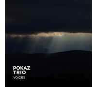 Pokaz Trio - Voices [VINYL]