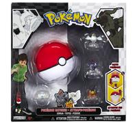 Pokemon Black & White Catcher - Zorua, Tepig and Pidove