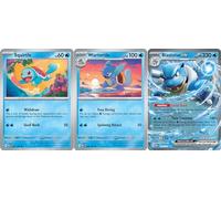 Pokémon Blastoise ex 009/165 - That Chunky Yellow Mouse Pouch - Collectible Card