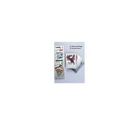Pokemon Cards Silver Set 55 Pcs Including Vmax Rares V Series GX EX Rares Charizard Common Cards