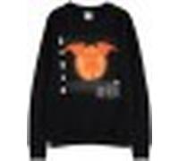 Pokemon Charizard M Sweatshirt DIFUZED