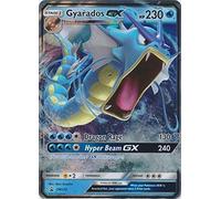 Pokémon Gyarados GX Trading Card - SM212 - SM Black Star Promo - Hidden Fates - 1 Piece