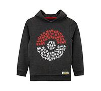 Pokémon Hoodie for Boys | Pikachu Kids Hoody with Pokeball Design