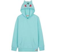 Pokemon Hoodie for Boys Teens, Hooded Sweatshirt, Pikachu Eevee Pullover Casual Sports, Long Sleeve Jumper, Anime Gifts for Boys (7-8 Years, Turquoise Bulbasaur)