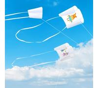 Poket Kite, Small kite, 80x48cm, line with handle, 3 sets, No colored pens