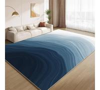 POKXAEU Abstract Blue White Area Rugs Doormat Funky Ombre Blue Indoor Entryway Rugs Soft Faux Wool Non Slip Washable Floor Mat Accent Carpet for Living Room Front Door Hallway Decor 90x120cm