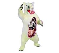 Polar Bear Anatomy Model, Polar Bear Organ Skeleton Model Half-Transparent Simulation with Fully Detachable 36 Organs and Body Parts, for Medical Teaching.