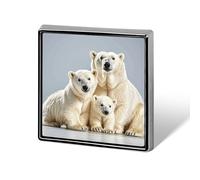 Polar Bear And Cub Lapel Pin Brooches Square Fashion Brooch Pin Cute Button Badges Alloy Button Pins Enamel Pins Metal Pinback for Hat Shirt Clothing Bags