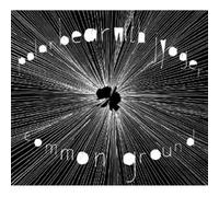 Polar Bear - Common Ground