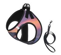Polar Bear Compact Pet Suspender Vest-The Perfect Small Pet For A Comfortable Walk