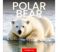 Polar Bear Cubs Calendar 2027: Young Arctic Wildlife Photography