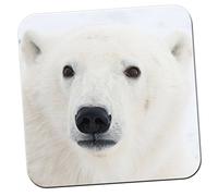 Polar Bear Face Close Up Coaster/Pack of Coasters