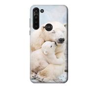 Polar Bear Hug Family Case Cover For Motorola Moto G8 Power
