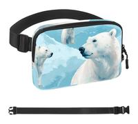 Polar Bear Iceberg-1593 Unisex Style Fanny Pack: Fashion Waist Packs, Crossbody Bags Sport Slim Fashionable for Jogging Hiking Hiker Woman Man, Multicolor, 1.5x9.0x5.9in/4x23x15cm