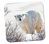 Polar Bear in Branches and Snow Coaster/Pack of Coasters