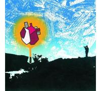 Polar Bear - In Each And Every One [VINYL]