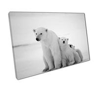 Polar Bear Mother With Two Happy Cubs Black And White Wild Animal Nature Photography Wall Art Print On Canvas Picture For Home Office Decor 30x20cm (12x8In)