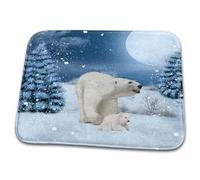 Polar Bear Mum With Polar Bear Cub Köhnen Design Animal Floor Mats Washable Door Mats Absorbent Bathmat For Shower Front Back Door Shoes Scraper 40X60 Cm