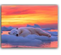 Polar Bear Paint by Numbers Sunset Paint by Numbers for Adults with Frame 30X40CM Large Canvas Paint by Numbers Kits with Paint Brushes and Acrylic Pigment Painting for Home Wall Decor, Gifts