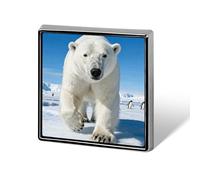 Polar Bear Penguin Brooch Pins Aluminum Alloy Lapel Pins for Men Women Badge Button Decorative Jewelry Charms for Hats Bags Backpacks Suits Shirts Scarves Clothing Accessories Gift