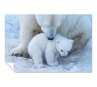 Polar bear portrait Unframed Poster Print, Pictures for Home Walls, Bedroom, Living Room & Bathroom Decor 76x51cm (30x20in)