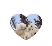 Polar Bear Print Air Freshener 2 Pieces Car Scented Hanging Sheet For Home And Car Decoration