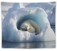 Polar Bear Tapestry Wall Hanging Wild Animal, 3D Printed Extra Large Tapestry Fabric Poster Wall Art for Bedroom Living Room Home Decor, 230x230 cm Decorative Cloth a/5070