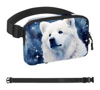 Polar Bear under Starry Sky and White Clouds-1642 Crossbody Fanny Pack for Men&Women,Belt Bag for Travel Casual Walking Running Hiking Cycling, Multicolor, 1.5x9.0x5.9in/4x23x15cm