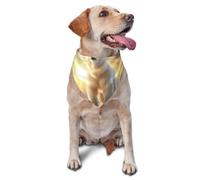 Polar bear under the sunshine Stylish Pet Scarf for Dogs
