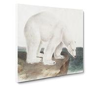 Polar Bears by John Woodhouse Audubon Vintage Canvas Wall Art Print Ready to Hang, Framed Picture for Living Room Bedroom Home Office Décor, 20x20 Inch (50x50 cm)