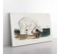 Polar Bears By John Woodhouse Audubon Vintage Canvas Wall Art Print Ready to Hang, Framed Picture for Living Room Bedroom Home Office Décor, 60x40 cm (24x16 Inch)