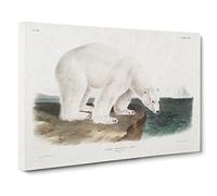 Polar Bears By John Woodhouse Audubon Vintage Canvas Wall Art Print Ready to Hang, Framed Picture for Living Room Bedroom Home Office Décor, 30x20 Inch (76x50 cm)