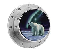 Polar Bears Northern Lights Kitchen Timers for Cooking 60 Minute Wind Up Timer, Magnetic Back, Visual Mechanical Timer with Loud Alarm, Manual Countdown Timers for Classroom Home Gym Tanning