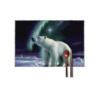 Polar Bears Northern Lights Placemats Set of 6 12 X 18 Inch-Boho Canvas Table Mats Heat Resistant & Washable Place Mats Non-Slip Wipeable Placemat for Kitchen Dining Table Decoration Indoor Outdoor