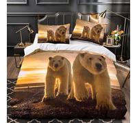Polar Bears Walking Duvet Cover 3D Design Printed Hypoallergenic 3 Pieces Bedding Set Zipper Comforter Cover Ultra Soft All Season for Teens Kids Girls Boys Women Adults Super king（260x220cm）