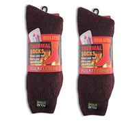 Polar Extreme Men's Thermal Sock Extra Heavy Acrylic Winter Marbled Socks (2 Pairs) (Red), Red