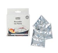 Polar Gear ice Pack, Silver and Blue, 10cmx10cm