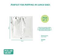 Polar Gear ice Pack Silver and Blue 10cmx10cm